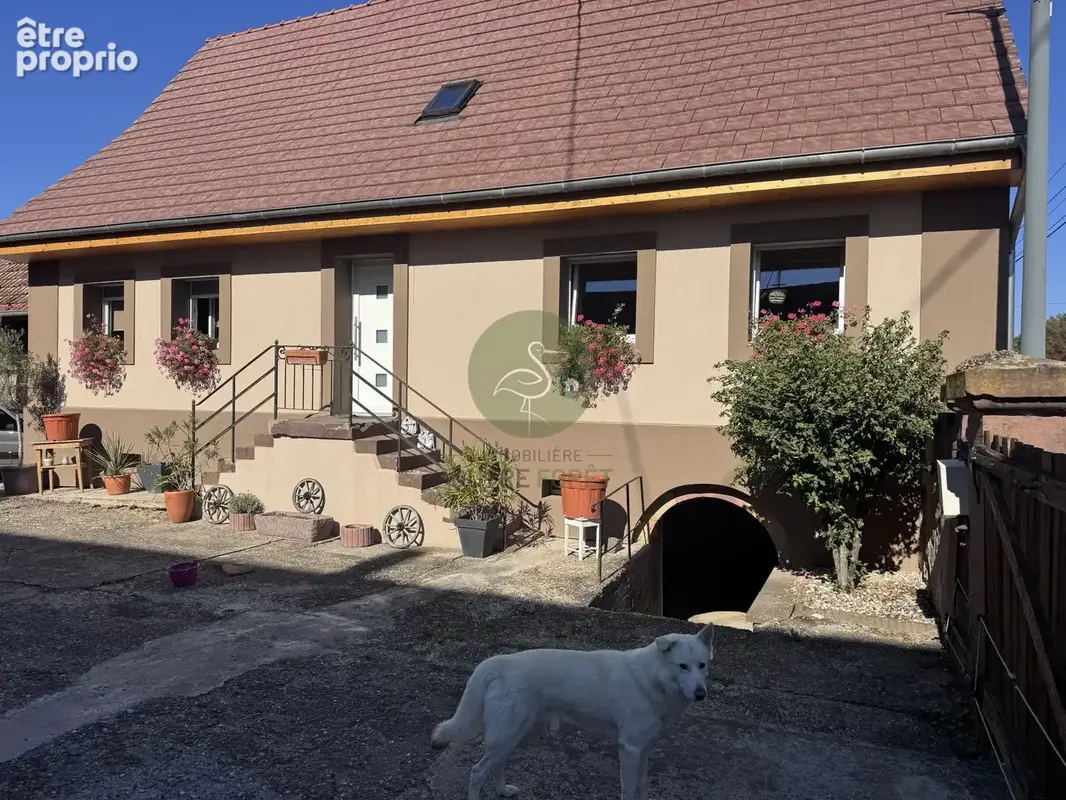 Maison 6 pièces 166 m² à vendre à Merkwiller-Pechelbronn (67250) - photo 1