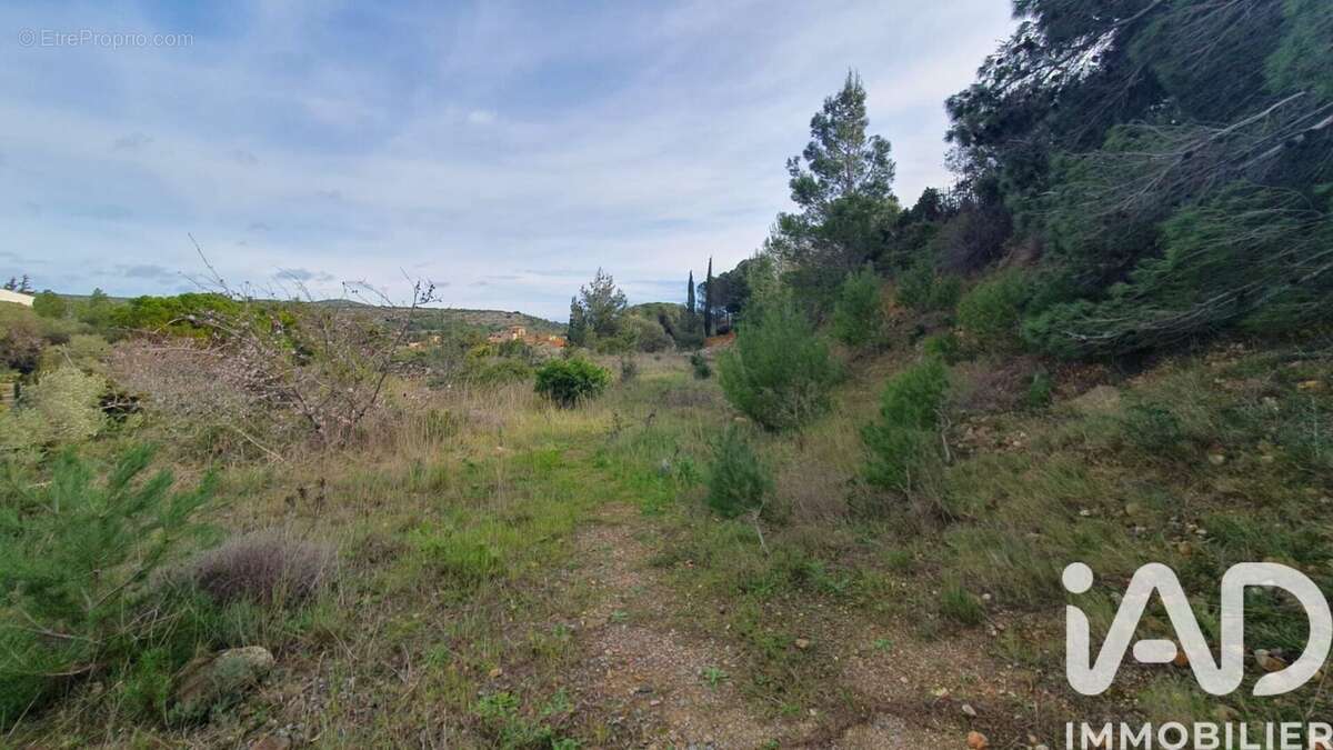 Photo 2 - Terrain à LA PALME