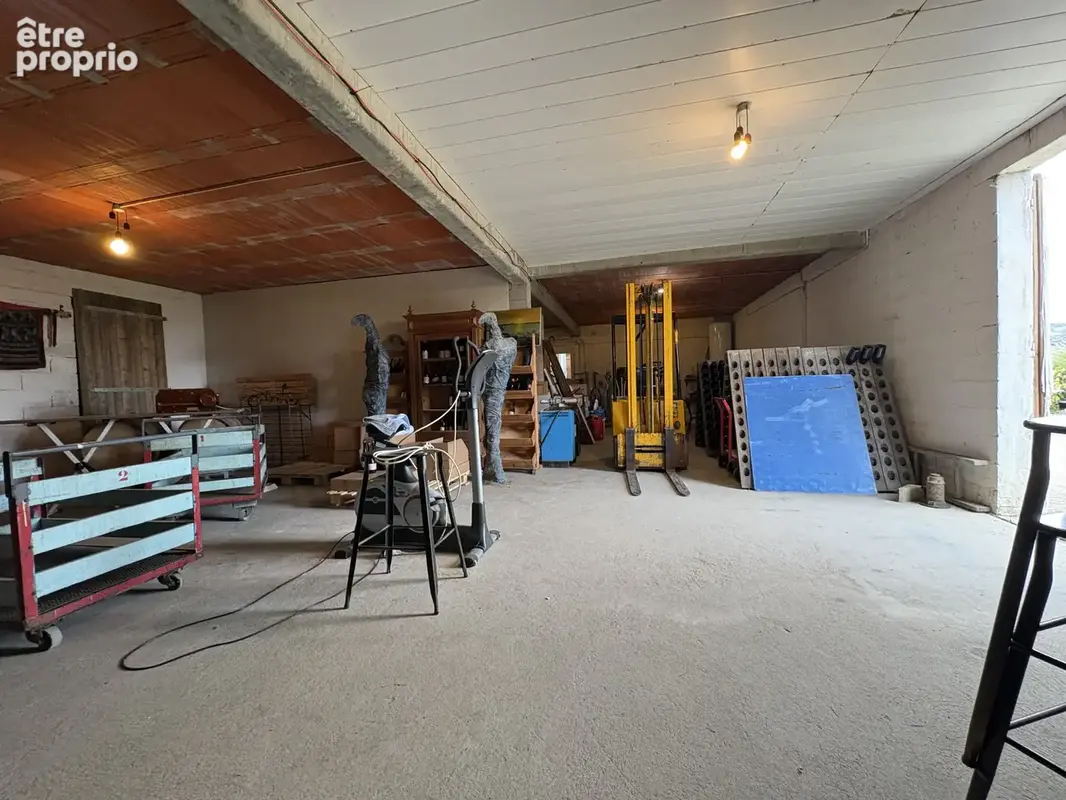 3 km de Limoux - Propriété avec appartement, dépendances et vigne - photo 30