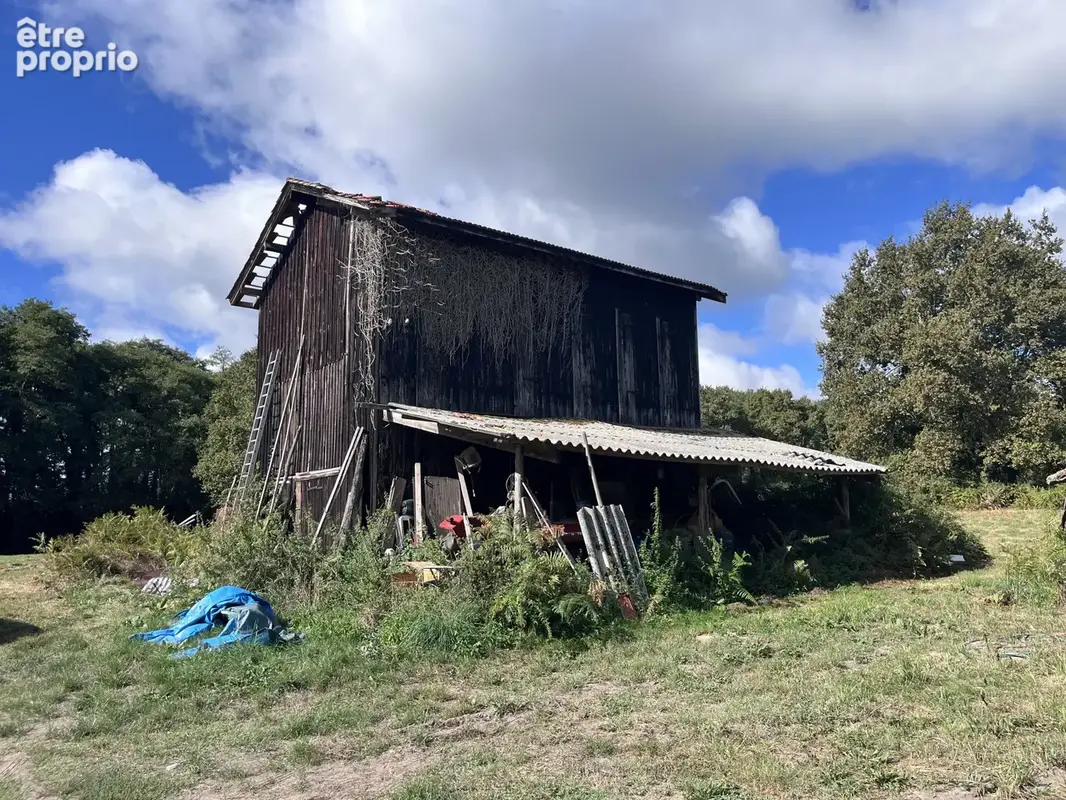 Ferme sur 5 hectares - photo 3