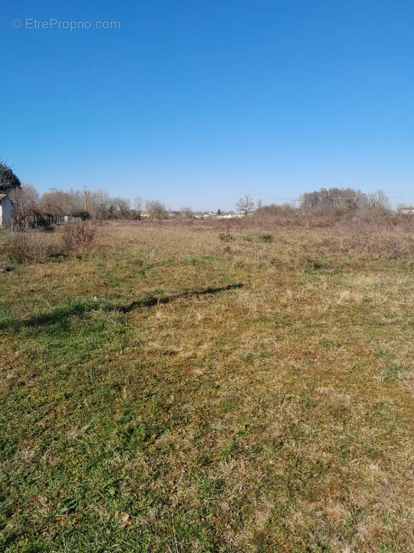 Terrain à LOUPES
