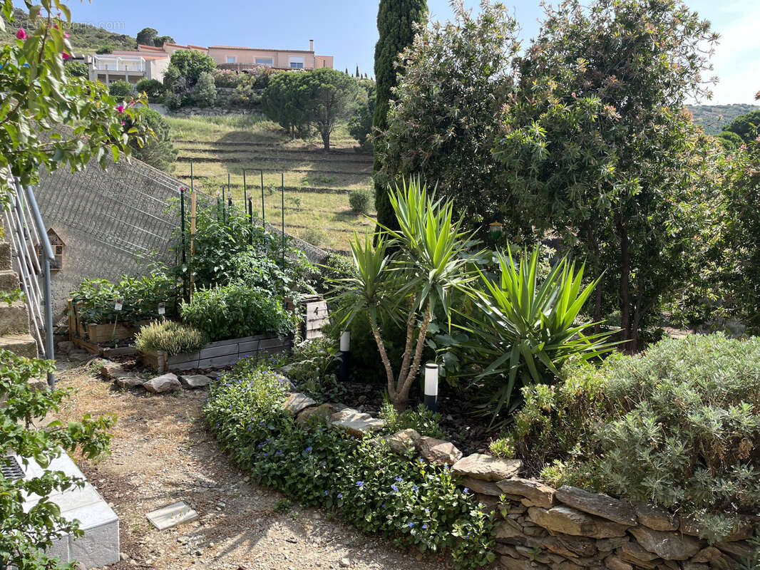 Maison à PORT-VENDRES