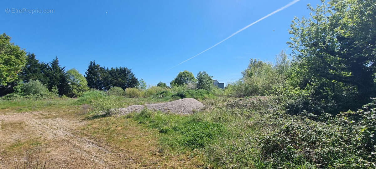 Terrain à CHATELLERAULT