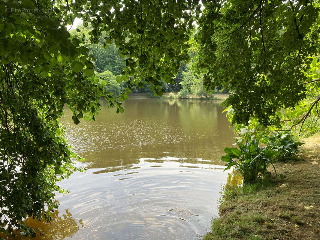 Terrain à LA GENEYTOUSE