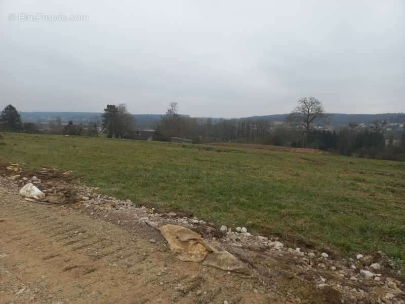 Terrain à ALLENJOIE