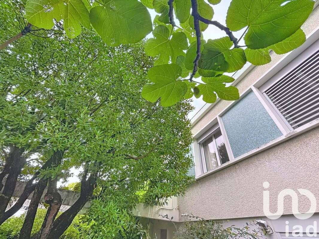 Photo 5 - Maison à TOULOUSE