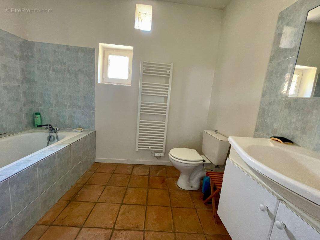 Maison à LE BUISSON-DE-CADOUIN