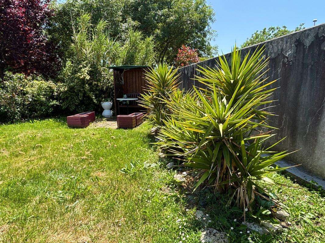 Maison À Vendre - photo 4