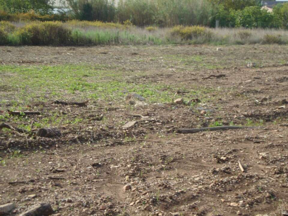 Terrain 140 m² à Cuers  - photo 3