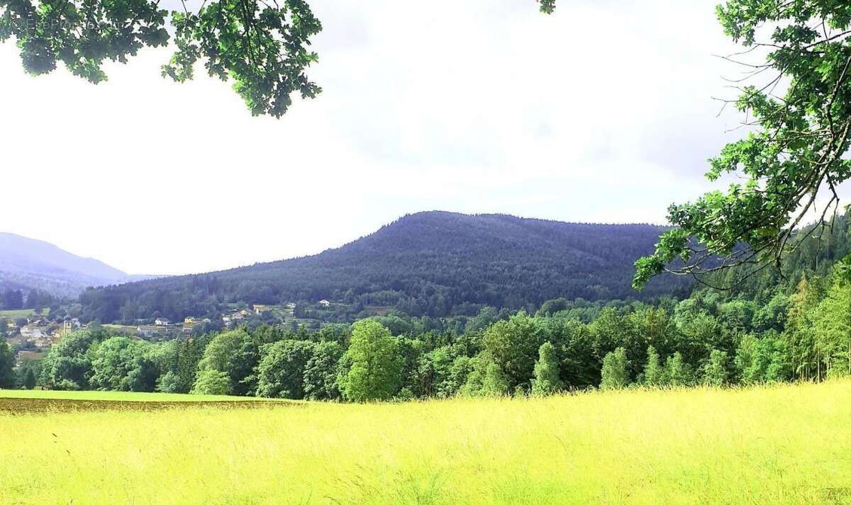 Appartement à SAULXURES