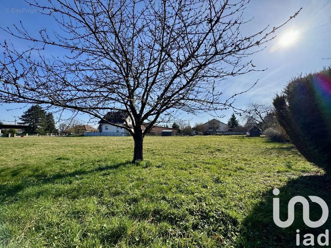 Photo 2 - Terrain à UFFHOLTZ