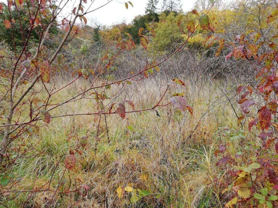 Terrain constructible / premery - photo 6