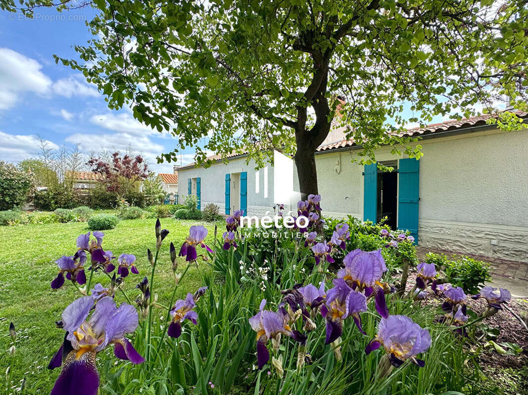 Maison à SAINTE-RADEGONDE-DES-NOYERS