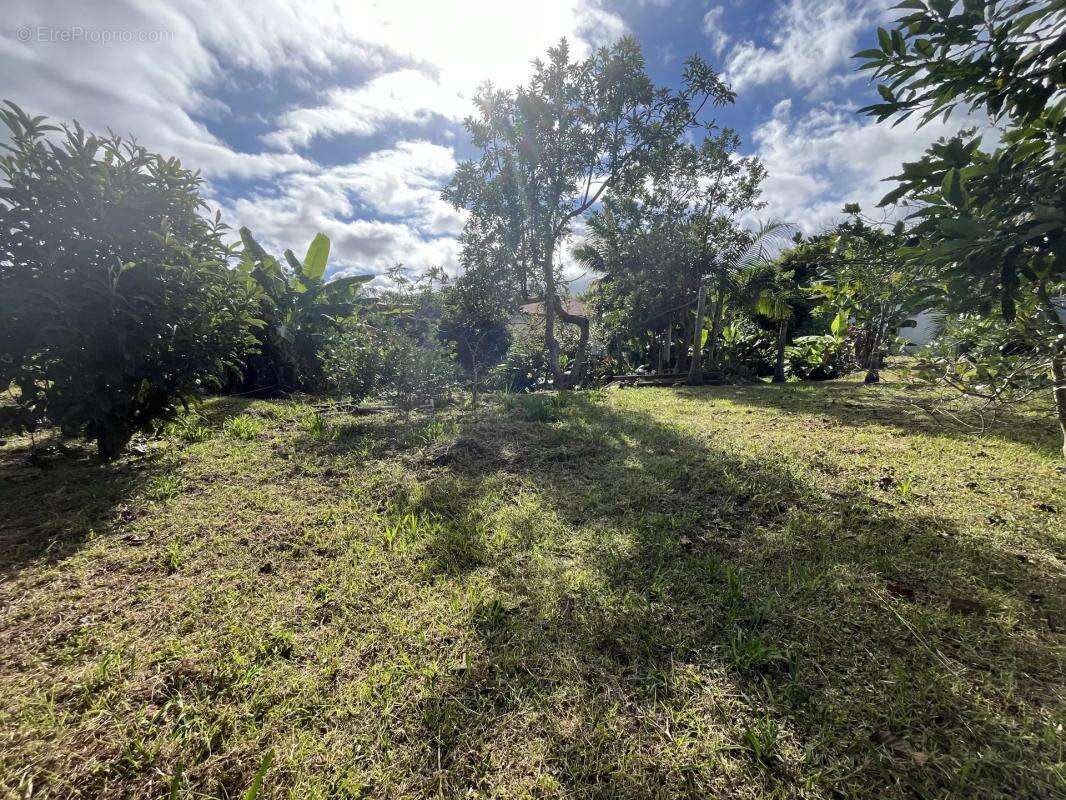 Terrain à LE TAMPON