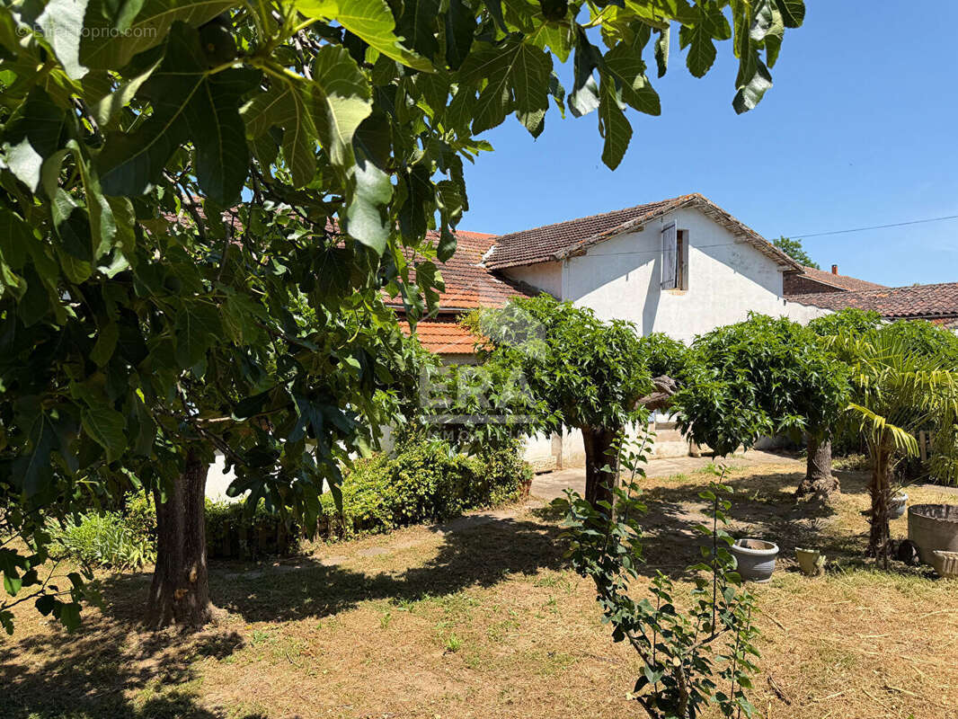 Maison à MARSSAC-SUR-TARN