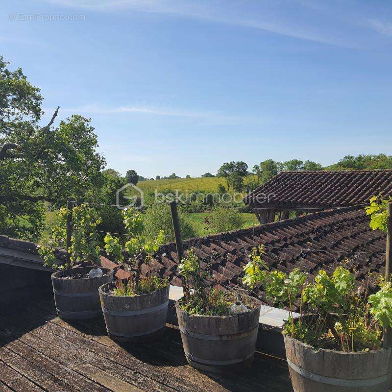 Proche Eauze - Propriété viticole de 25ha - photo 15
