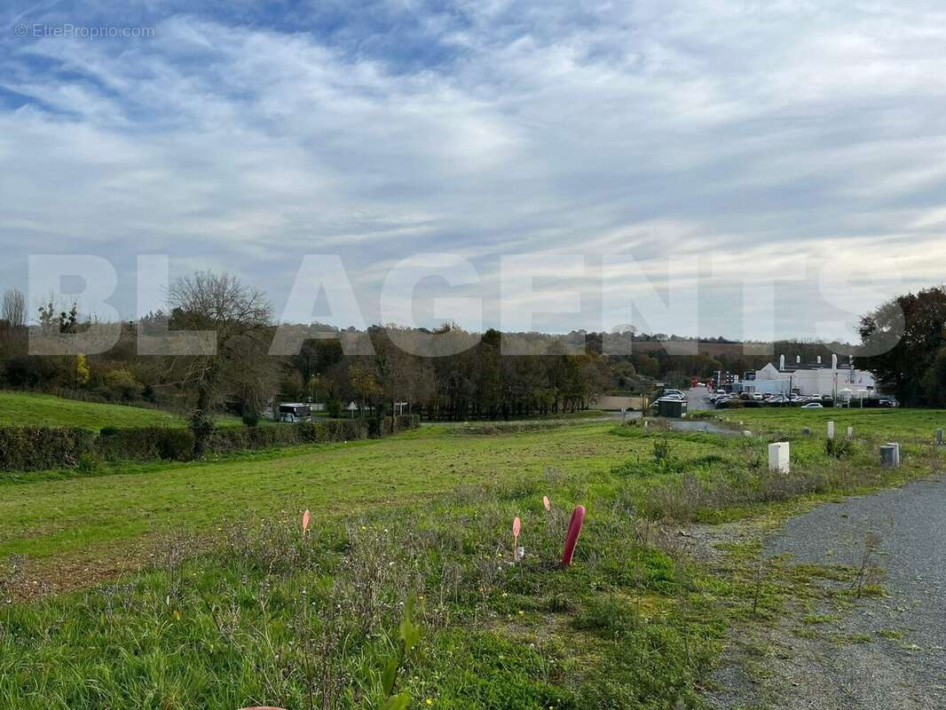 IMG-20251129-WA0002 - Terrain à MOUCHAMPS