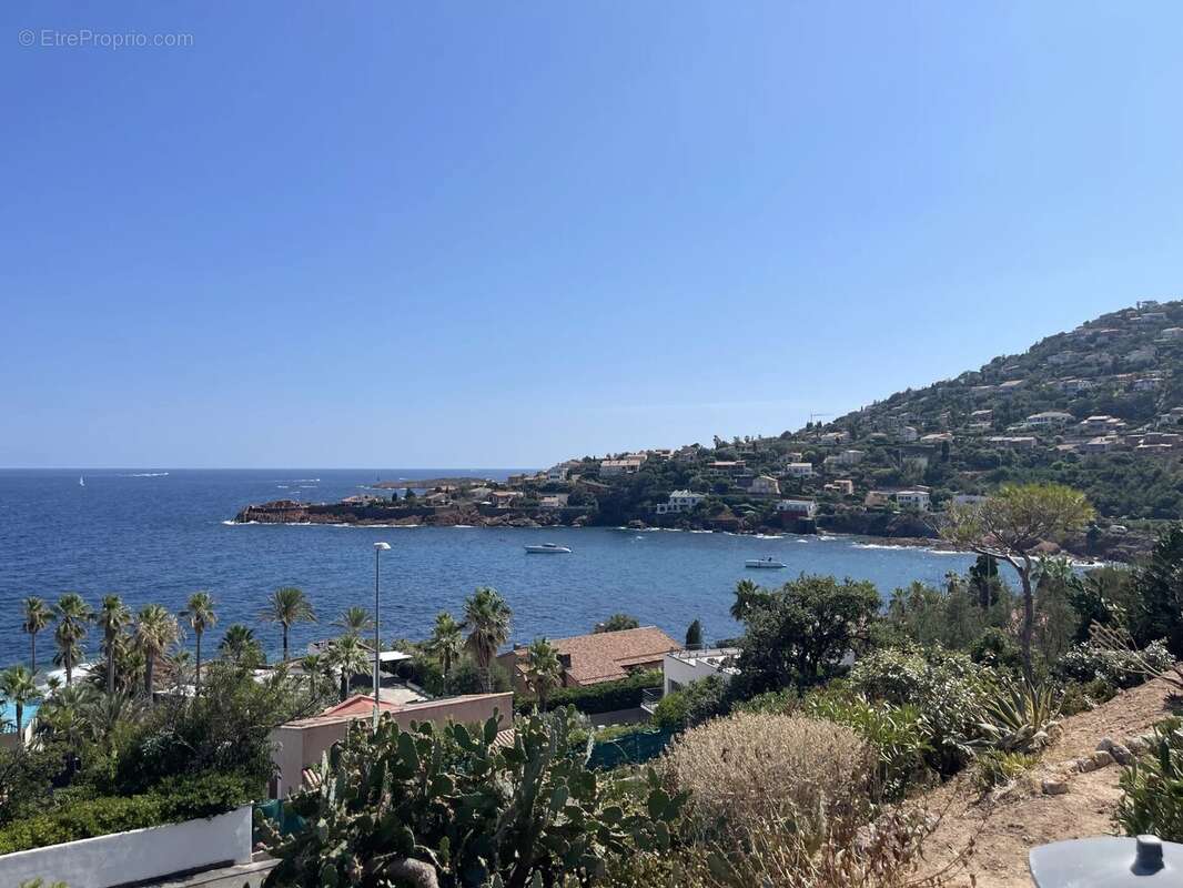 Studio vue mer et montagnes panoramiques. Toit-terrasse. Parking. - photo 4