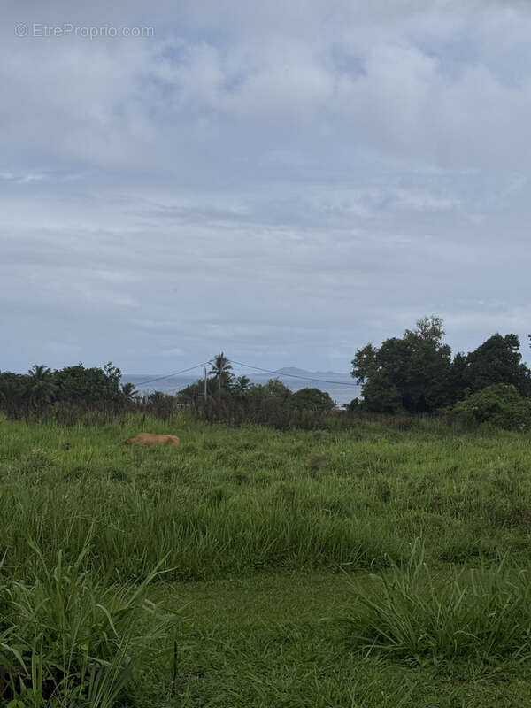 Terrain à CAPESTERRE-BELLE-EAU