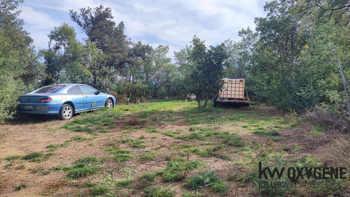 Terrain à SAINT-JEAN-PLA-DE-CORTS
