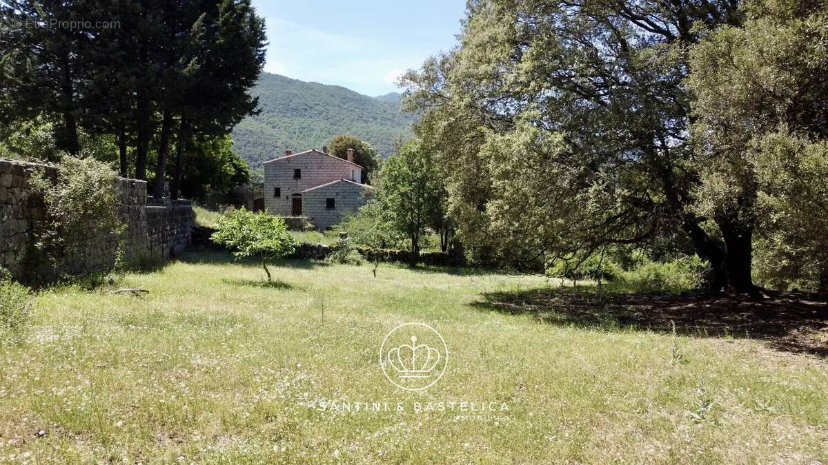 Terrain à ZICAVO