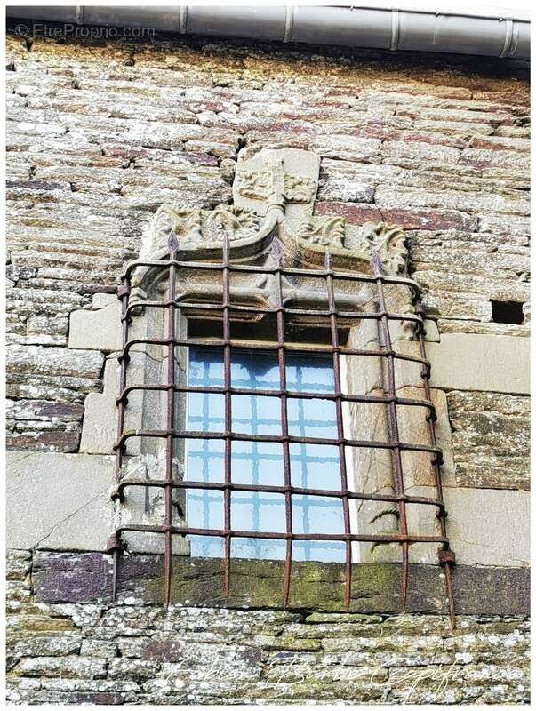 Maison à NEANT-SUR-YVEL