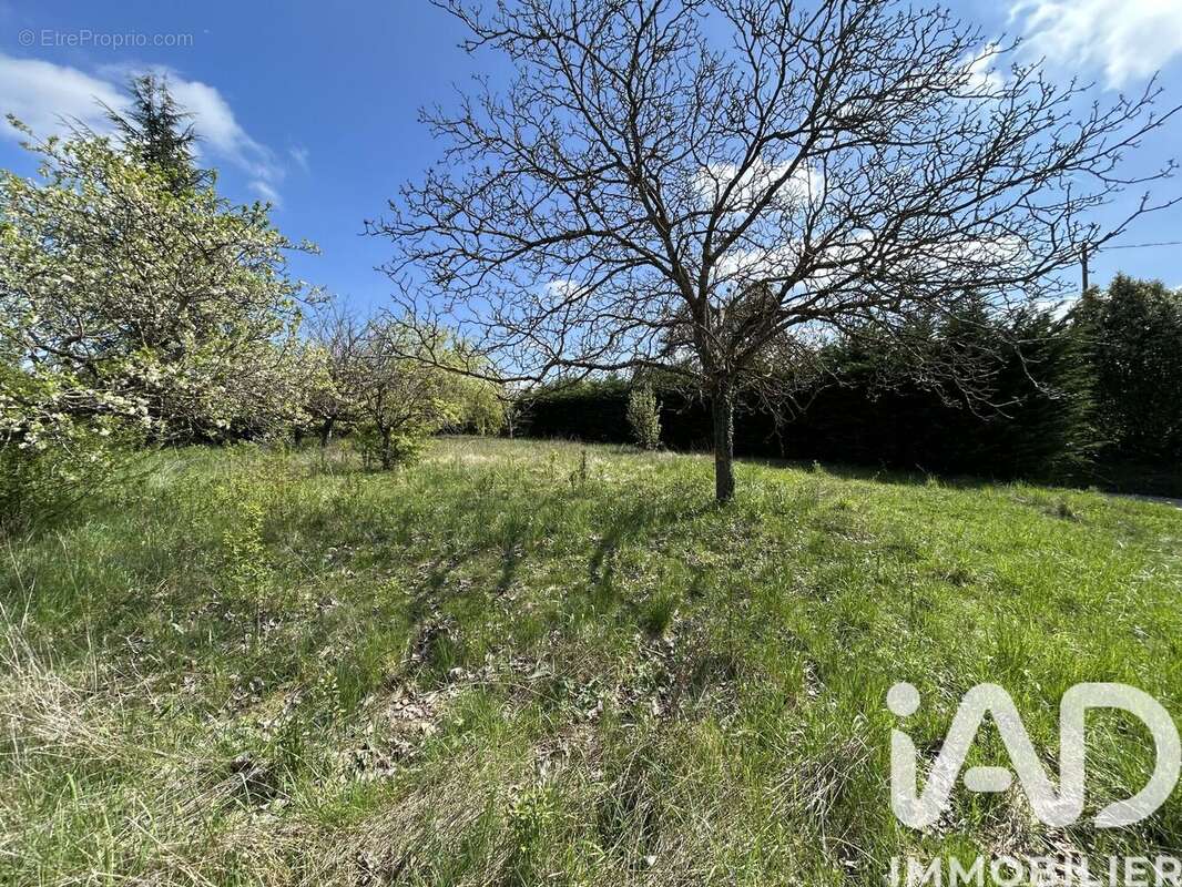 Photo 7 - Terrain à VIRY
