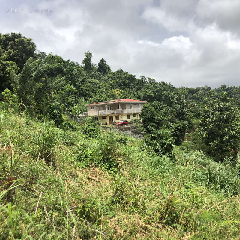 Terrain à LE FRANCOIS