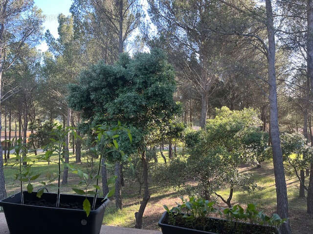 SAUMANE DE VAUCLUSE dans résidence sécurisée, au calme joli appartement T2 avec terrasse. - photo 5
