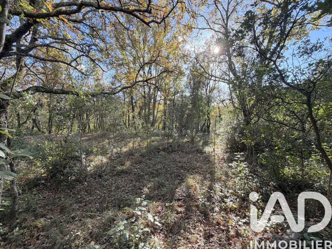 Photo 8 - Terrain à SAINT-HIPPOLYTE-DU-FORT