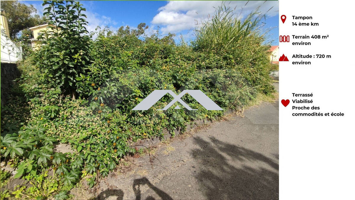 Terrain à LE TAMPON