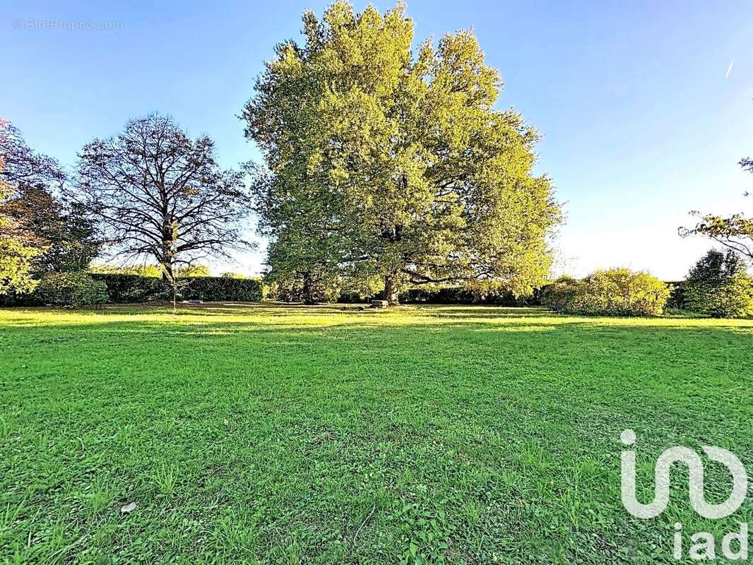 Photo 4 - Maison à TERRASSON-LAVILLEDIEU