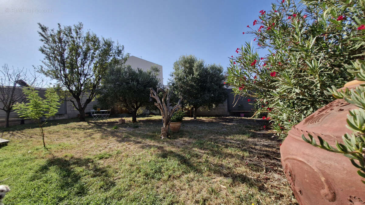 Maison à MORIERES-LES-AVIGNON