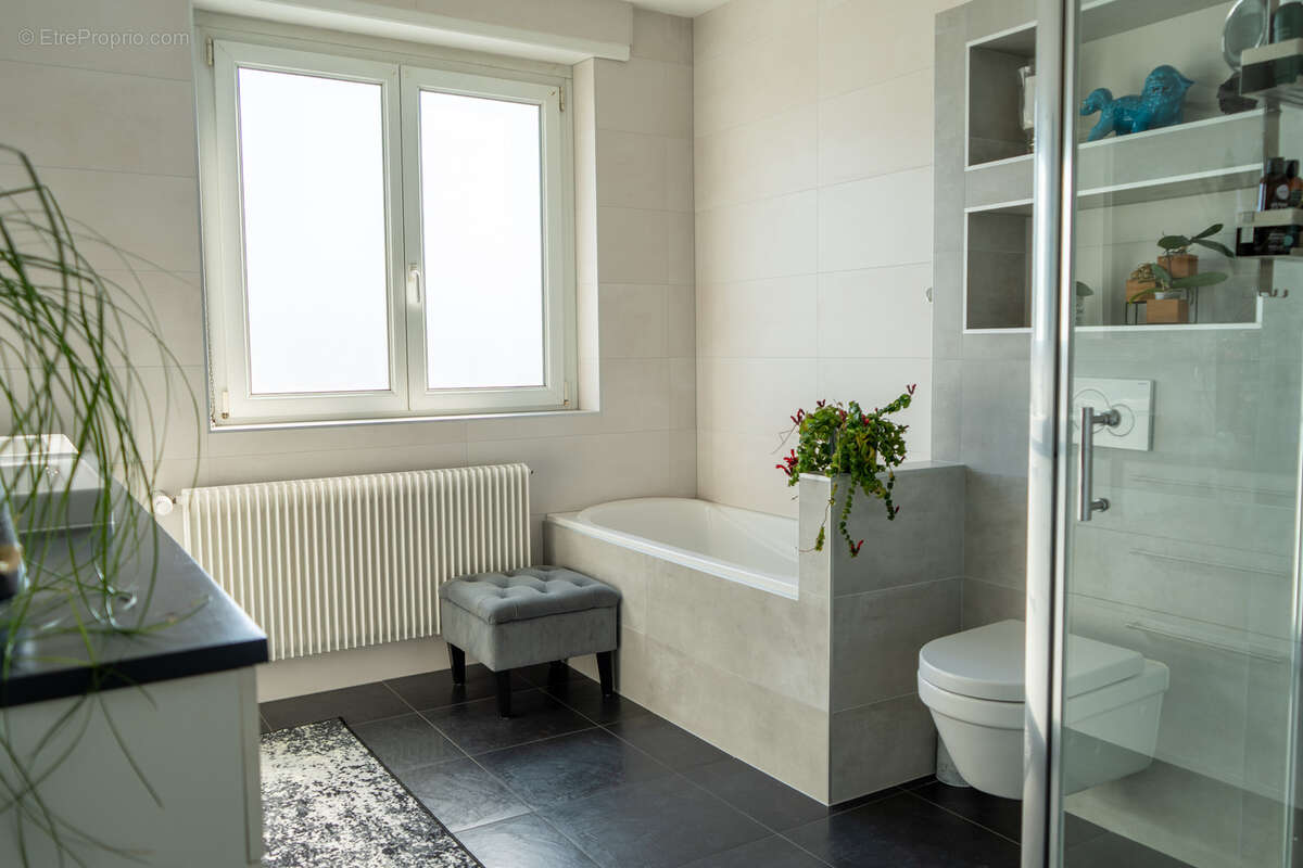 Autre à SCHILTIGHEIM