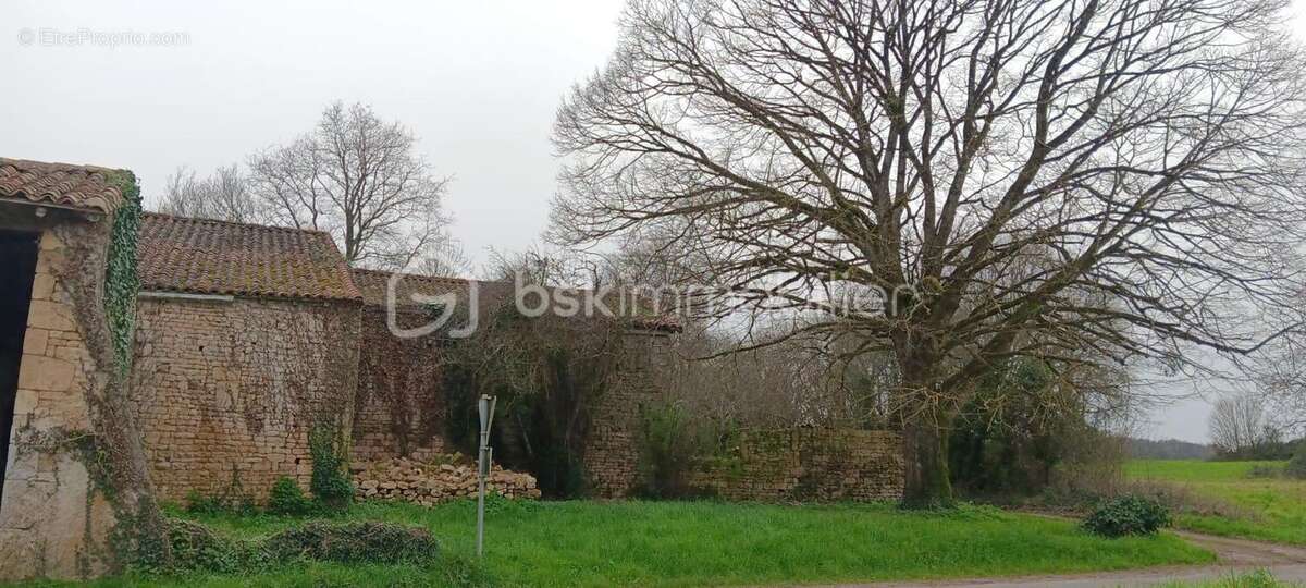 Maison en pierre - photo 25