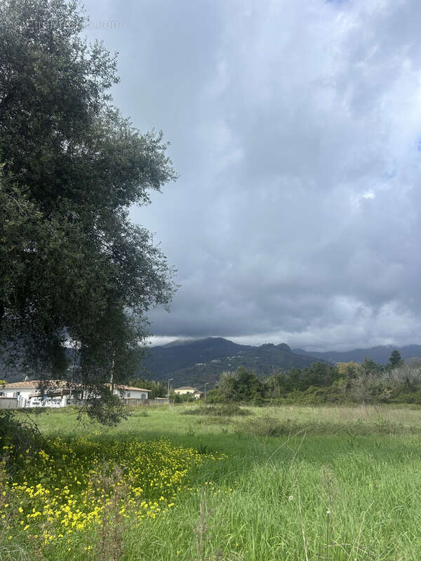 Appartement à SANTA-LUCIA-DI-MORIANI