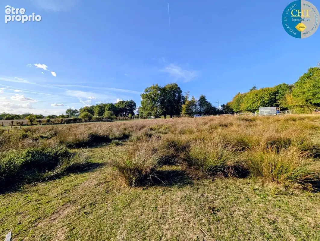 A vendre ÉTANG ET SOURCE sur parcelle d'1,50 hectare À MERNEL (35330) AVEC CHT IMMOBILIER - photo 11
