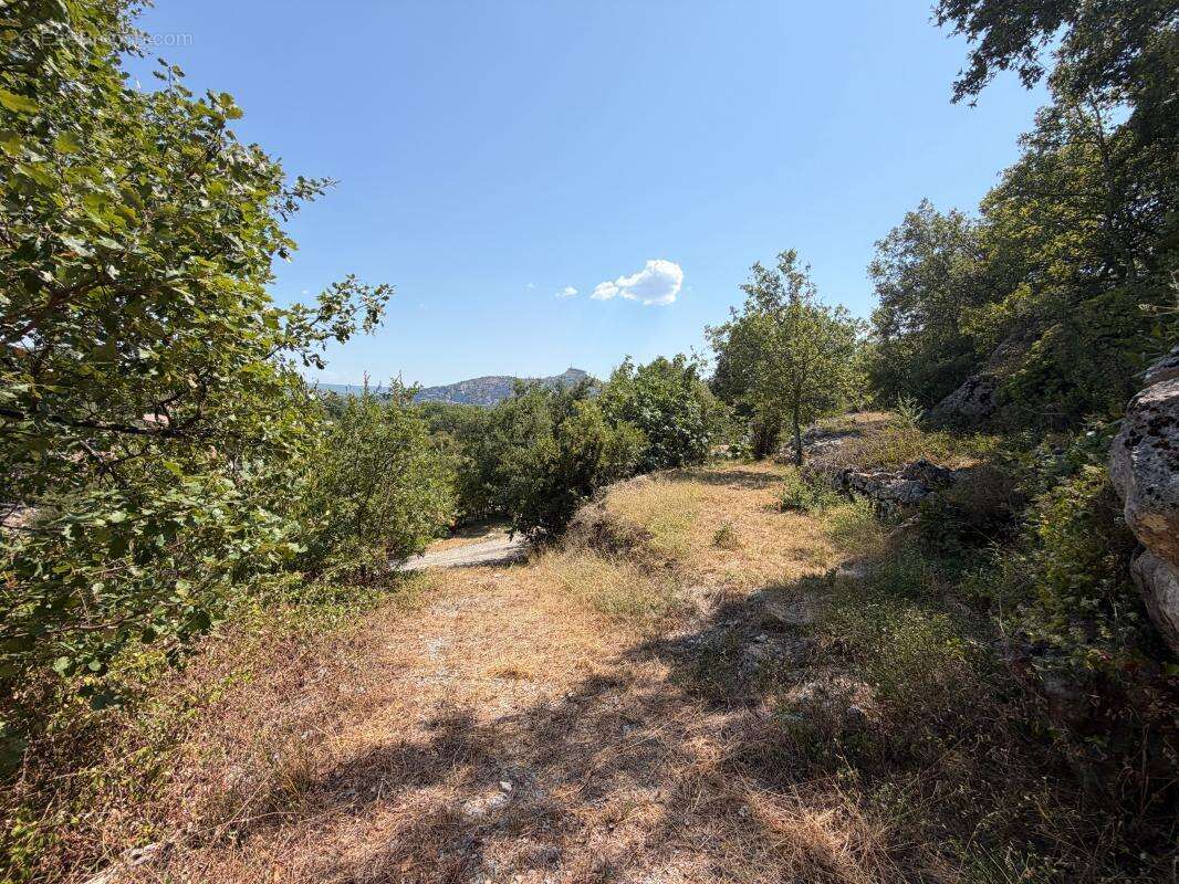 Terrain À Vendre 1500 m² - photo 7