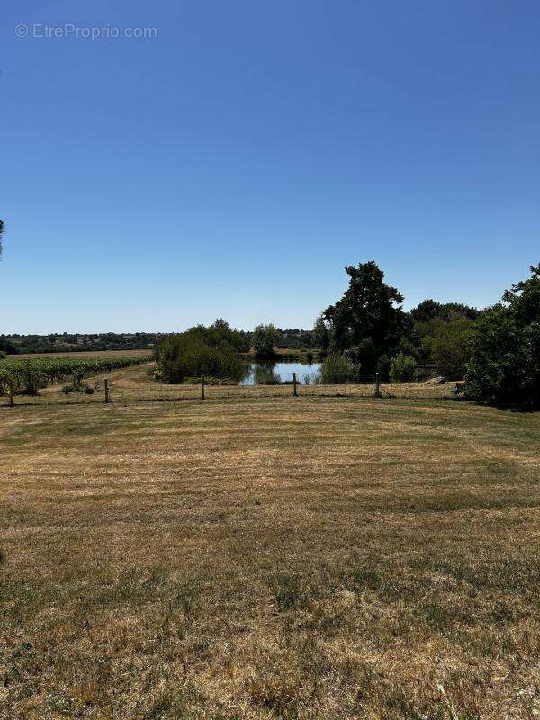 Maison 90 m² à Clere-Sur-Layon  - photo 11