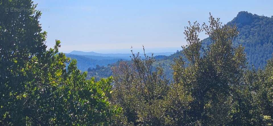 Terrain à BAGNOLS-EN-FORET