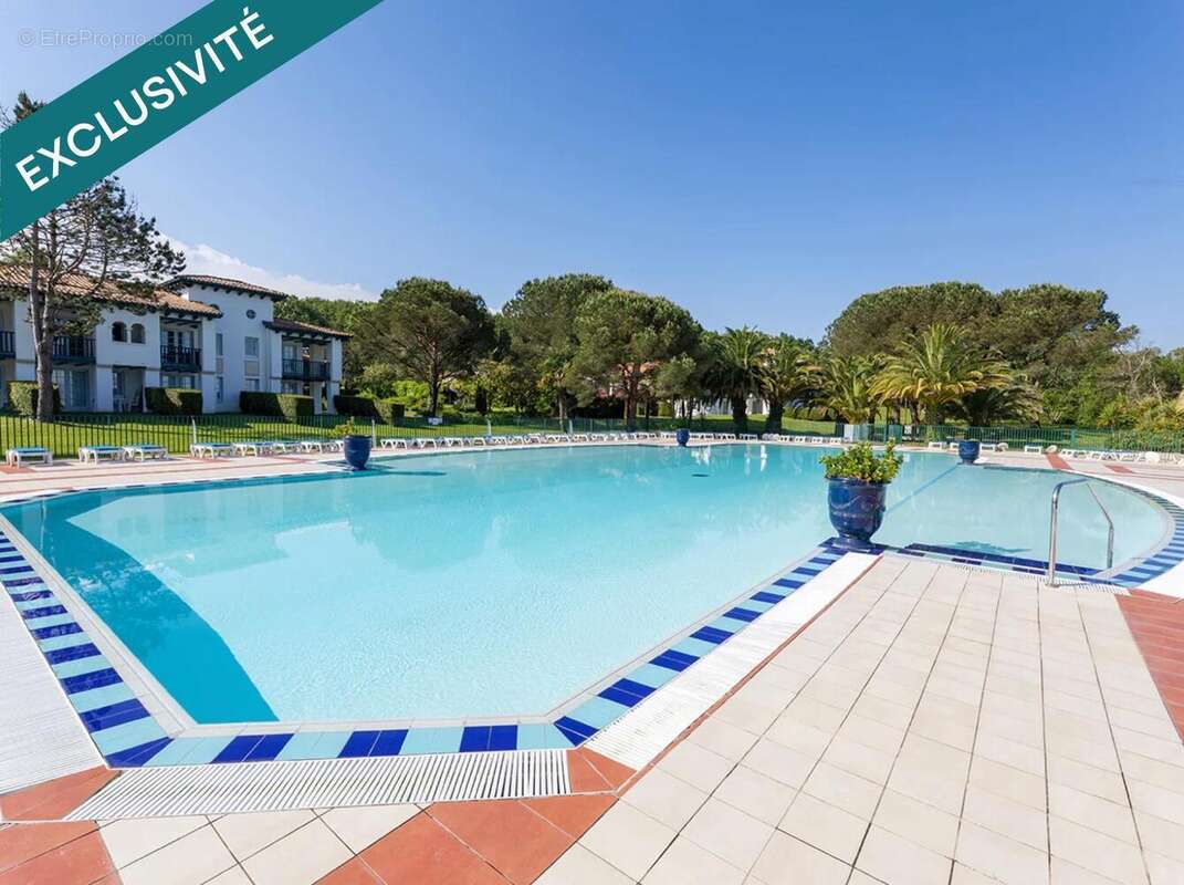 Photo 6 - Appartement à URRUGNE