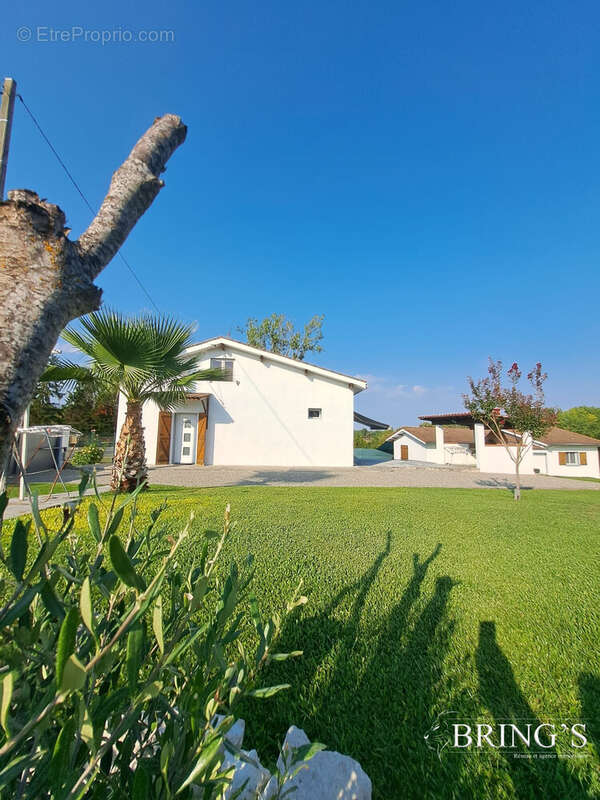Maison à MOISSAC