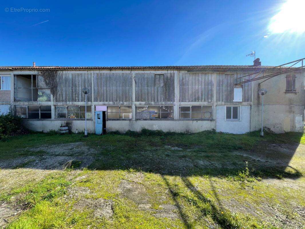 Plateau Brut 2 x 170m² L'ISLE D'ESPAGNAC (16) - photo 7