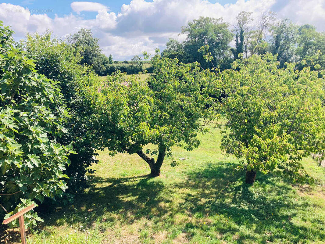 Maison à SAINT-GEORGES-D'ESPERANCHE