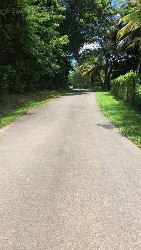 Terrain à PETIT-CANAL