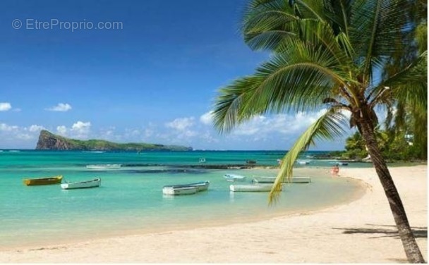 Maison à CAZAUX-LAYRISSE