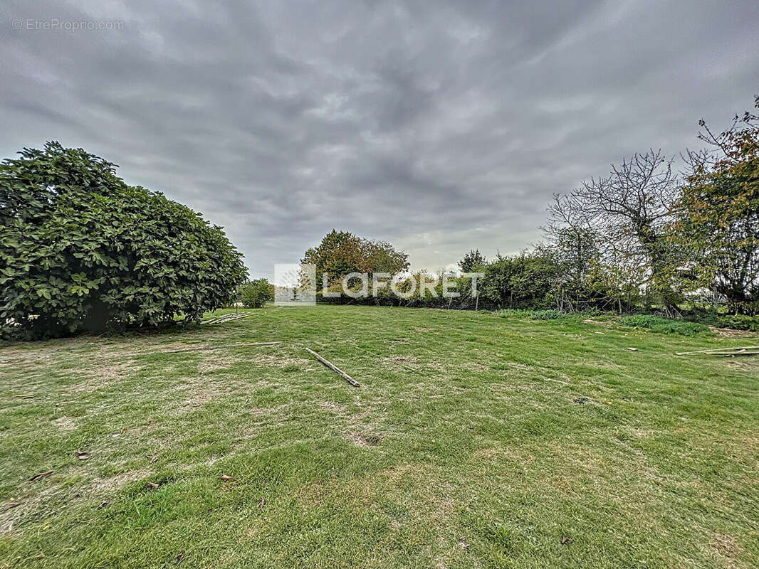 Terrain à DOUE-LA-FONTAINE
