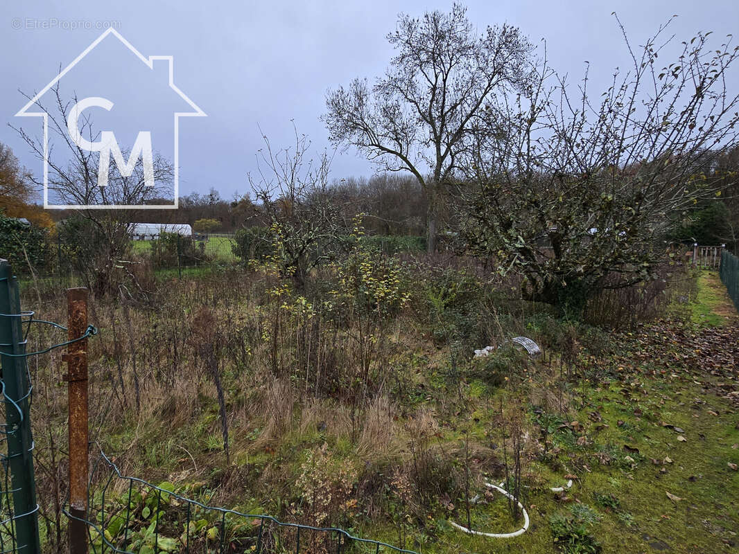 Maison avec cour et jardin - photo 15