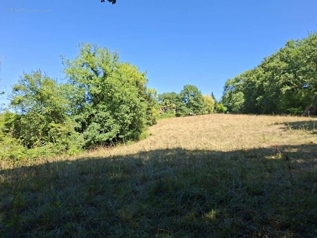 Corps de ferme des années 70 avec dépendances et 5 Hectares de terres et bois d'un seul tenant. - photo 6