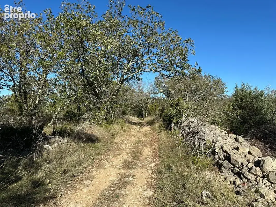 Terrain non constructible - photo 5